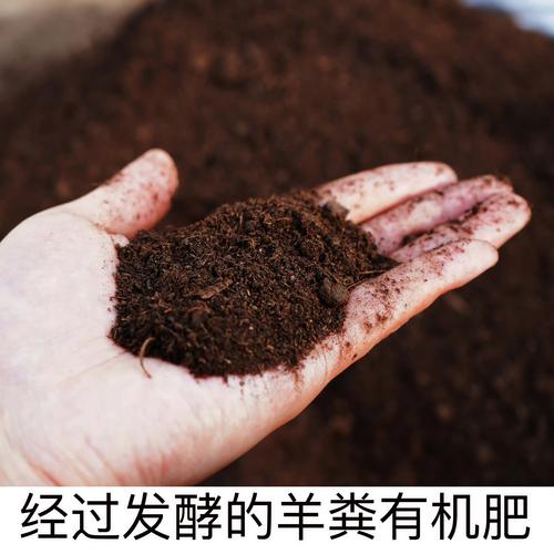 紫花苜蓿如何做青储?掌握四个关键步骤,打造高营养发酵饲料 一、收割时机:现蕾期至初花期最优
