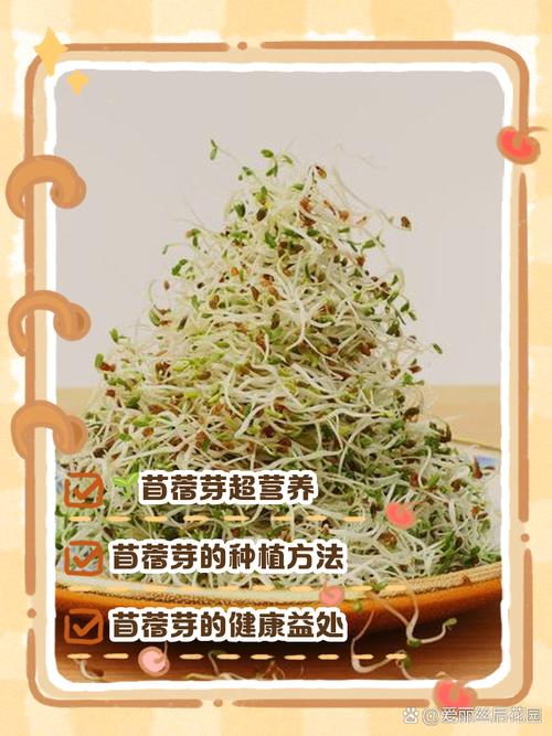 紫花苜蓿如何做青储?掌握四个关键步骤,打造高营养发酵饲料 四、密封发酵:隔绝空气,耐心等待