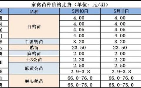 黑天鹅鹅苗多少钱一只？2025最新参考价格及影响因素解析
