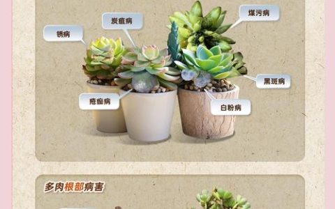 盆栽花卉生虫怎么办？从识别到防治，这份科学指南请收好