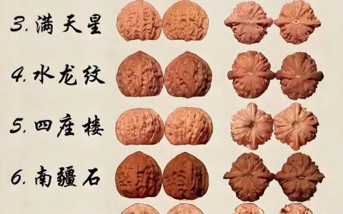 文玩核桃什么时候下树最好？2026年最佳采摘时间与品质鉴别指南