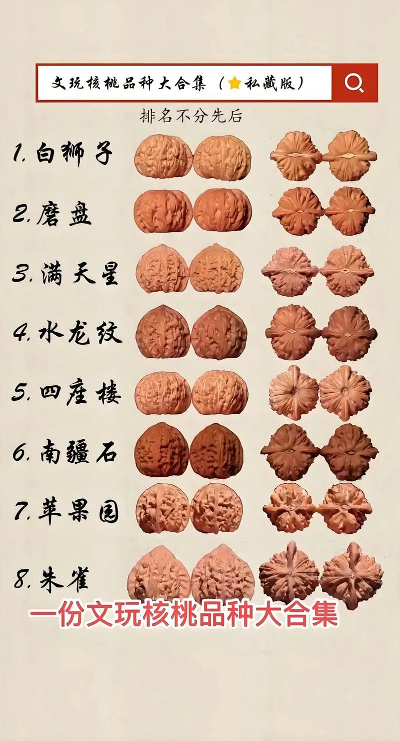 文玩核桃什么时候下树最好?2026年最佳采摘时间与品质鉴别指南 文玩核桃什么时候下树最好?2026年最佳采摘时间与品质鉴别指南