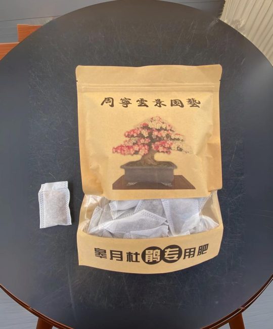 杜鹃花用什么肥料比较好？家庭养护全攻略