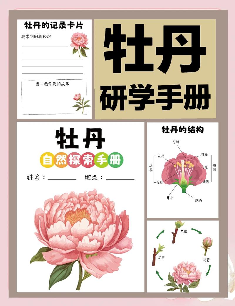 牡丹室内养护可行性评估:从光照、根系到水肥的科学判断 盆栽与地栽选择决策
