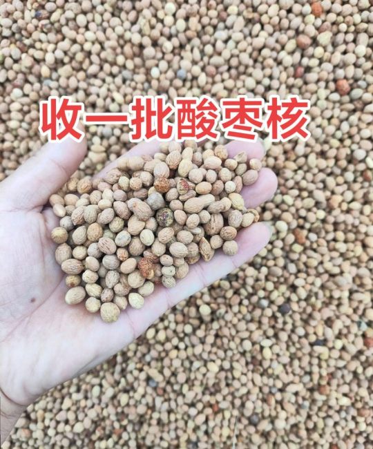 酸枣仁多少钱一斤？产地、规格与季节对报价的影响