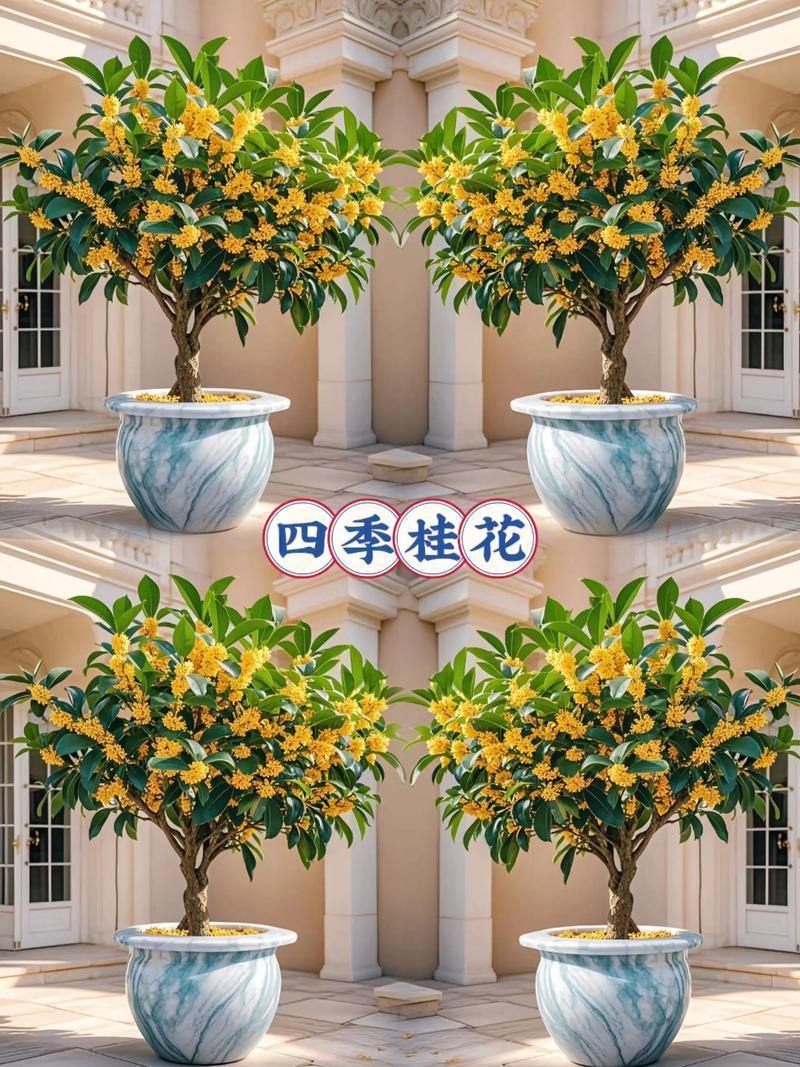 桂花怎么养才能活?家庭养护全攻略,从浇水到换盆一次讲透 换盆:每2-3年换一次土,春季或秋季进行最佳