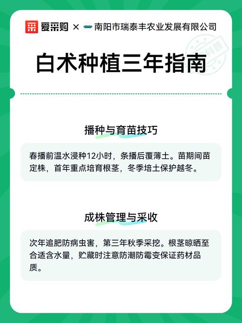 种植白术用什么肥料?从基肥到追肥的完整施肥指南 六、缓苗期管理与追肥时机
