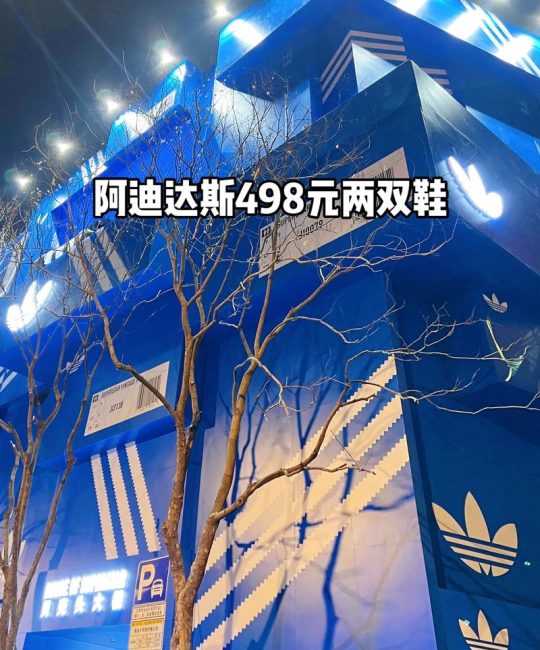 桂花价格是多少？规格、产地、采购量影响报价