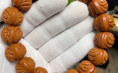 龙纹桃核溯源：它到底是什么品种的桃子？