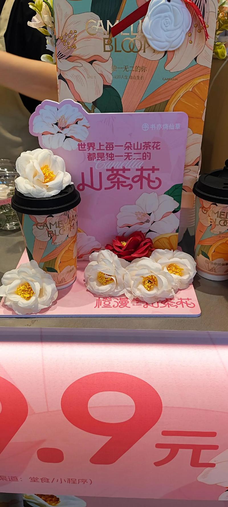 橙漫山茶花价格参考:2026年市场区间与五大影响因素详解 产地不同,价差可达20%