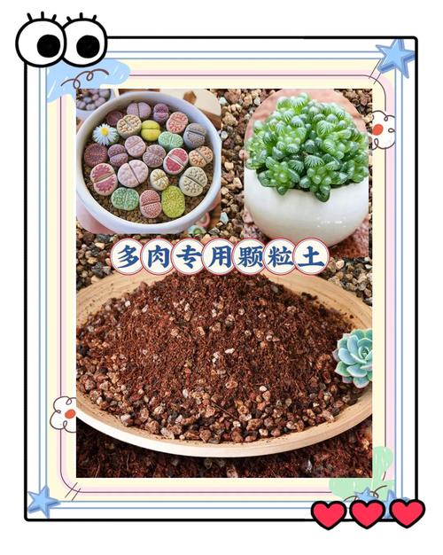 花卉种植土怎么配?一份可量化的家庭配土全攻略 三、配制步骤与消毒方法