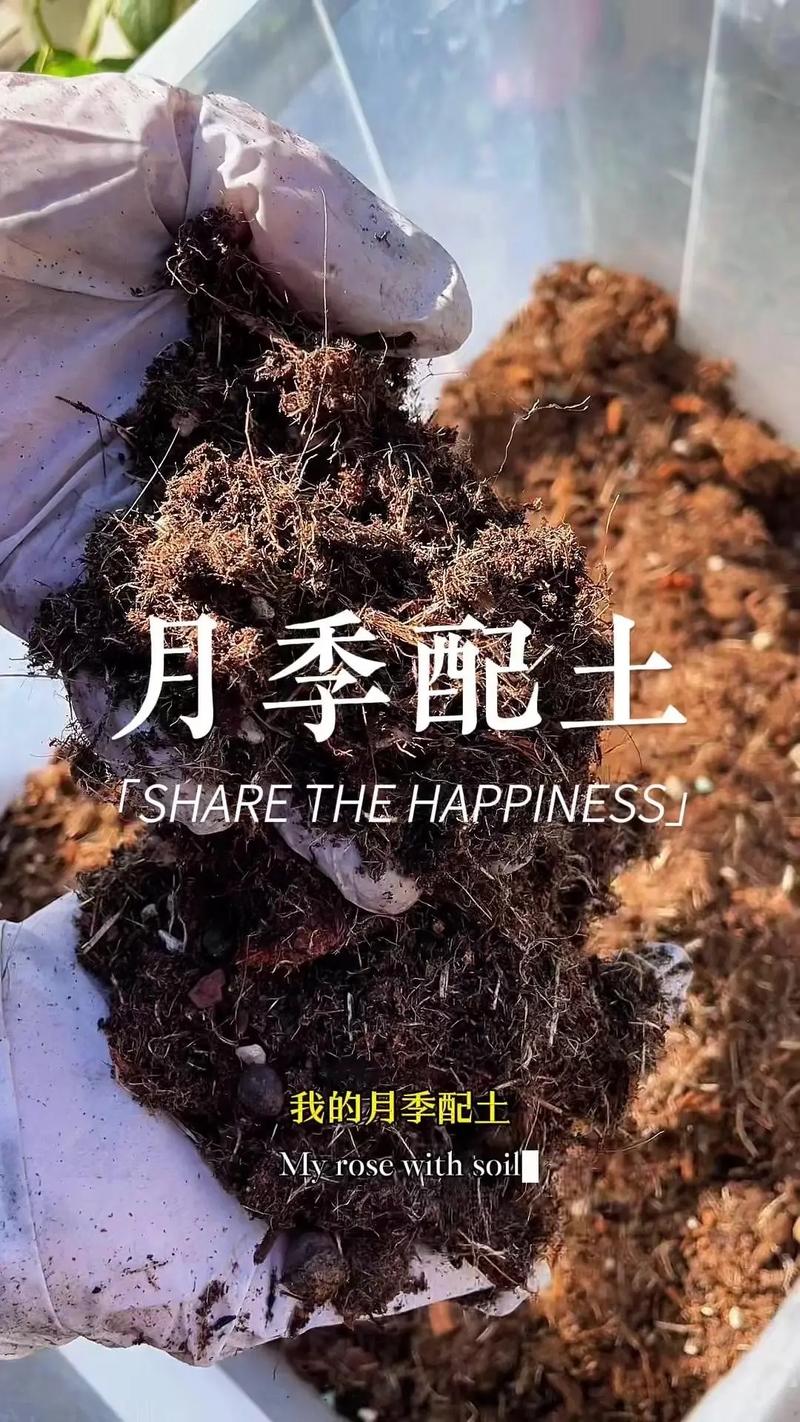 花卉种植土怎么配?一份可量化的家庭配土全攻略 二、不同花卉类型的针对性调整