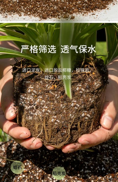 花卉种植土怎么配?一份可量化的家庭配土全攻略 四、常见错误与纠正