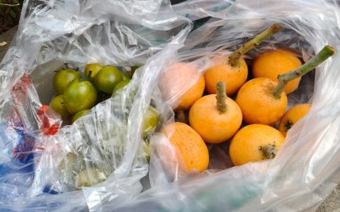 枇杷价格多少钱一斤？规格、产地、季节影响报价