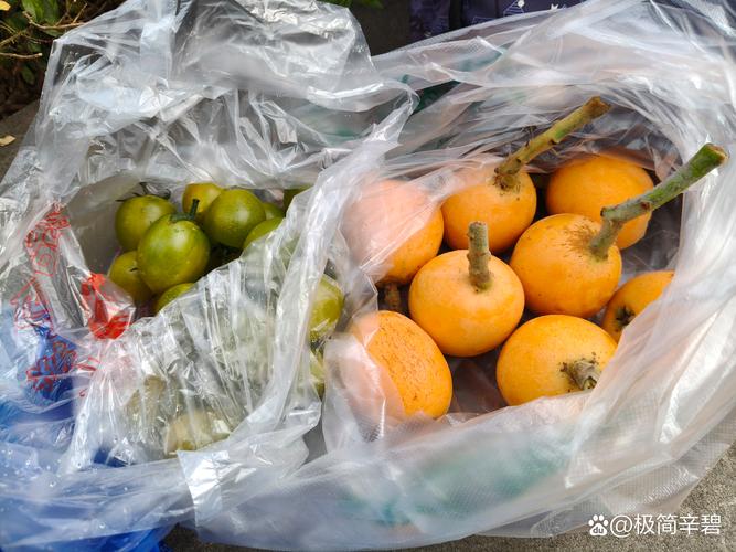 枇杷价格多少钱一斤?规格、产地、季节影响报价 枇杷价格多少钱一斤?规格、产地、季节影响报价