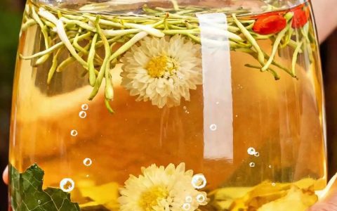黄芪和菊花可以一起喝吗