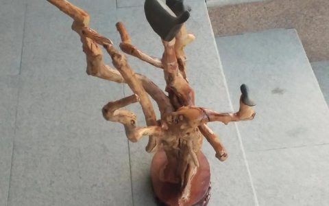 枣树根雕放家里好不好？园艺设计师的客观美学与养护建议