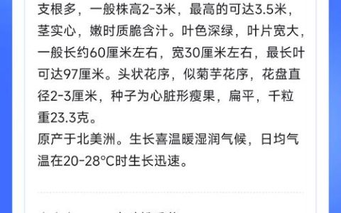 串叶松香草种子价格是多少？规格、产地、采购量影响报价