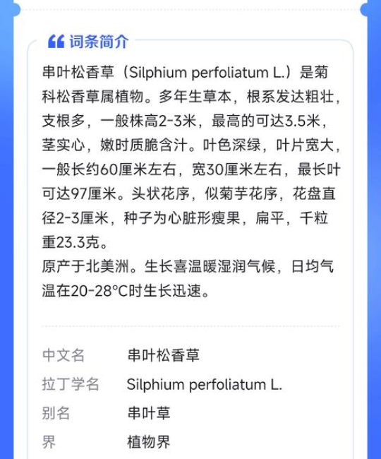 串叶松香草种子价格是多少？规格、产地、采购量影响报价