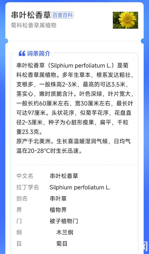 串叶松香草种子价格是多少?规格、产地、采购量影响报价 串叶松香草种子价格是多少?规格、产地、采购量影响报价