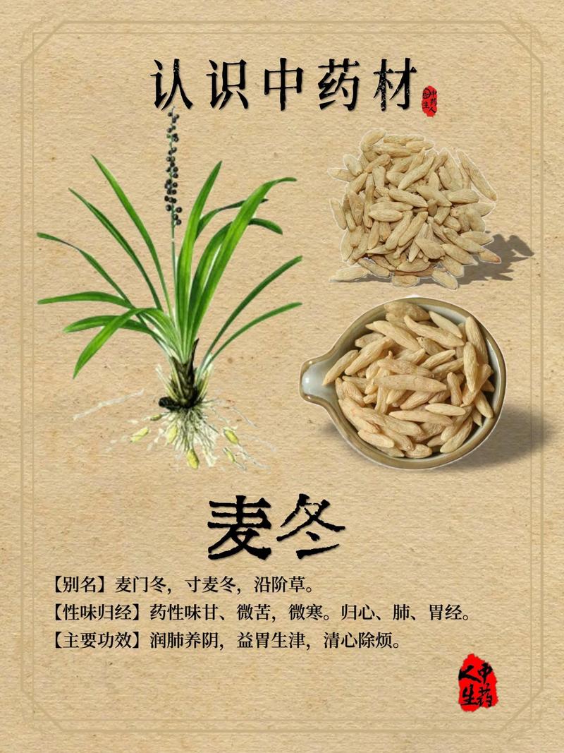 怎么种植麦冬?这份保姆级教程让成活率超95% 七、成活后管理要点