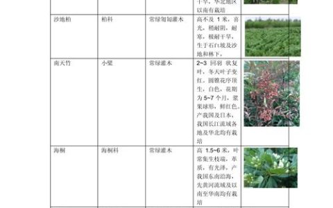 常见绿化带灌木植物选型与工程应用指南