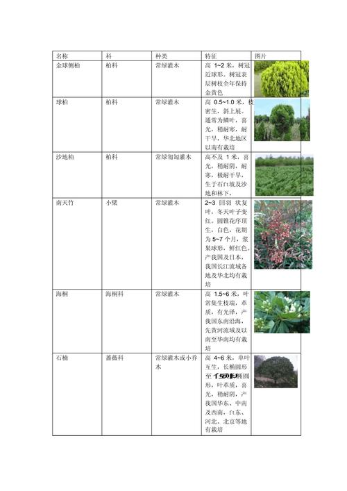 常见绿化带灌木植物选型与工程应用指南 1. 工程场景与选型策略