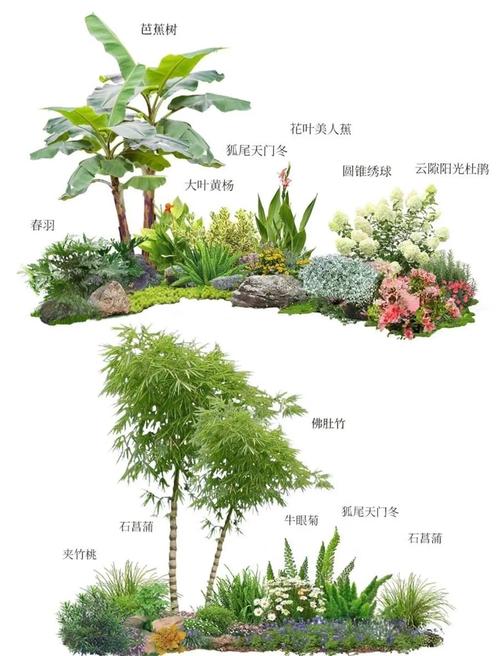 常见绿化带灌木植物选型与工程应用指南 5. 常见施工错误与规避