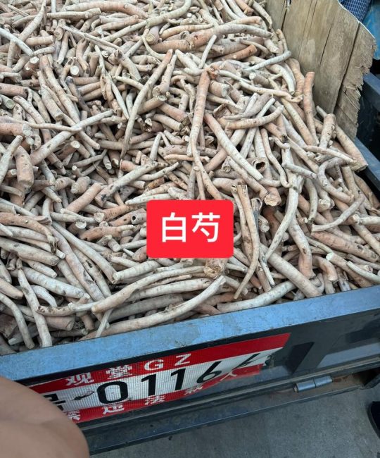白芍的价格多少钱一斤？规格、产地、季节影响报价