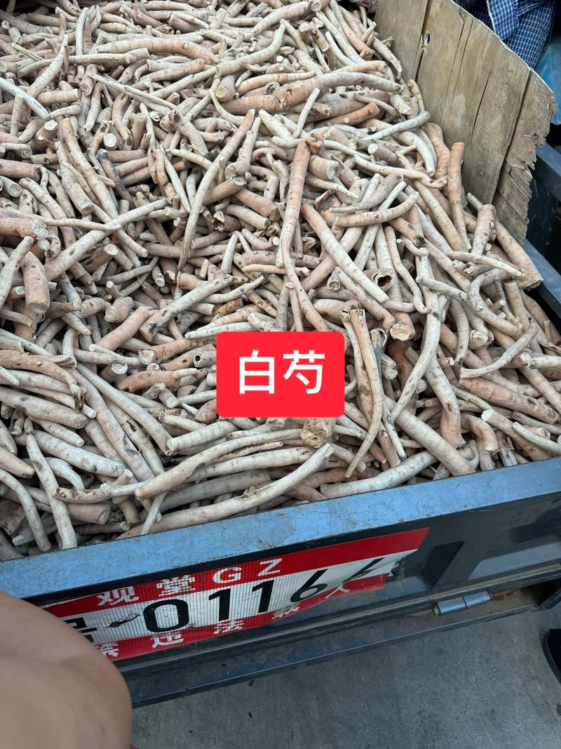 白芍的价格多少钱一斤?规格、产地、季节影响报价 白芍的价格多少钱一斤?规格、产地、季节影响报价