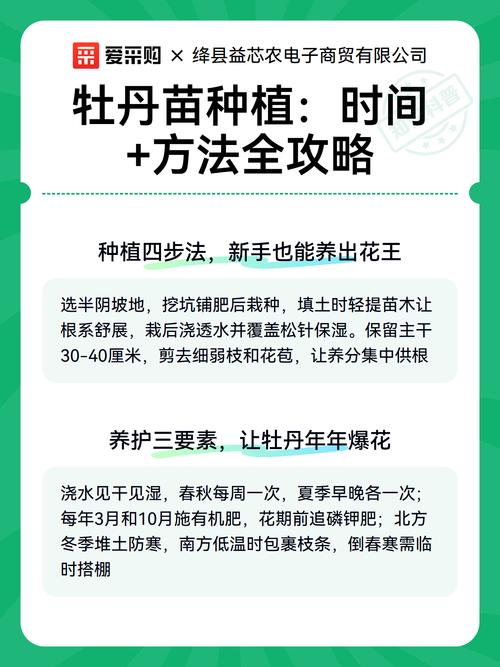 三、栽前处理：修根、消毒、促生根