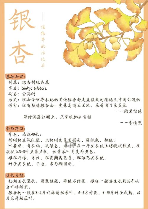 银杏树怎么移栽成活率高?七个步骤详解,成活率可达95%以上 6. 缓苗管理:遮阴保湿,耐心等待发芽