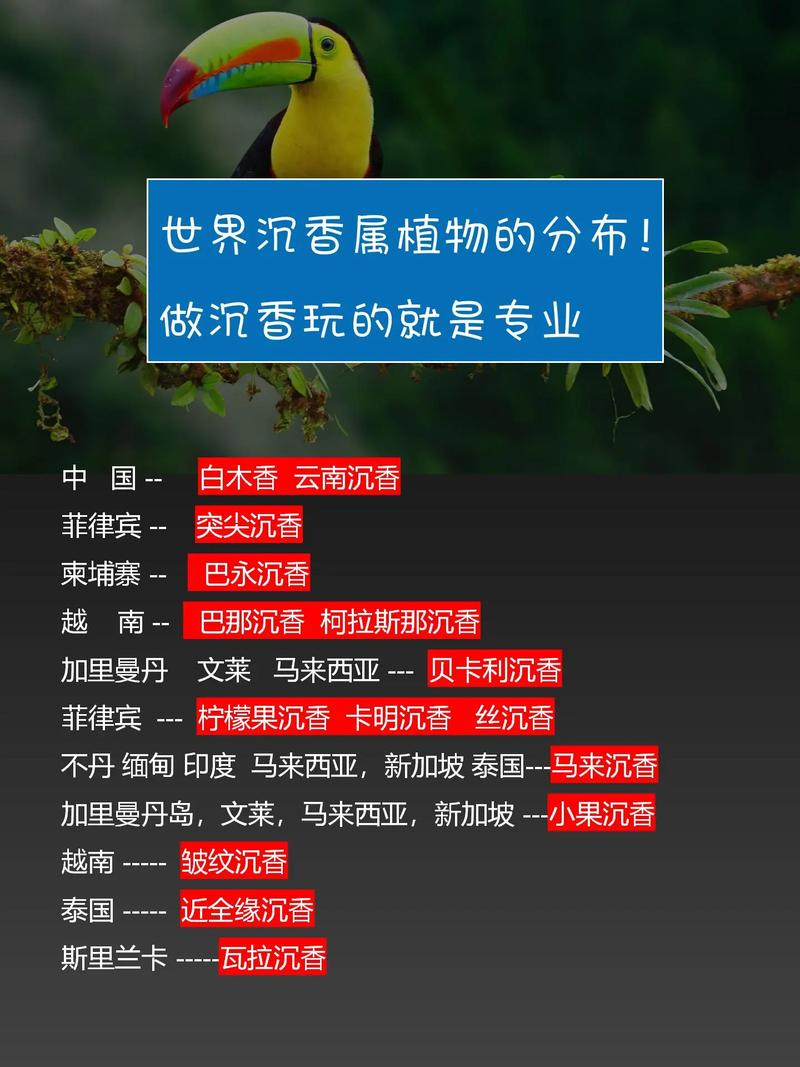 沉水植物大概多少钱?2025年最新价格区间与选购指南 季节影响存活率与价格