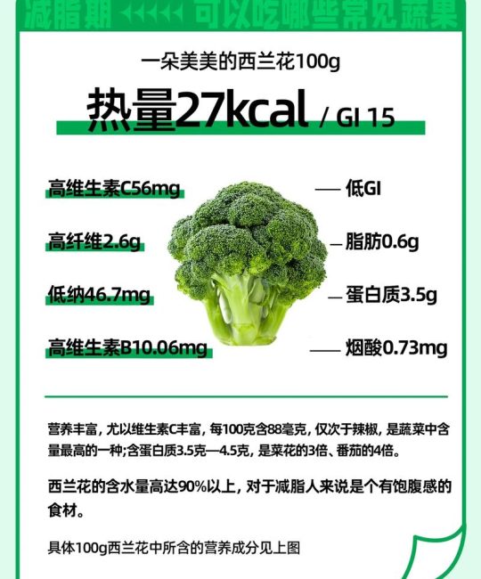白花菜和西兰花哪个营养好？从种植养护看营养差异
