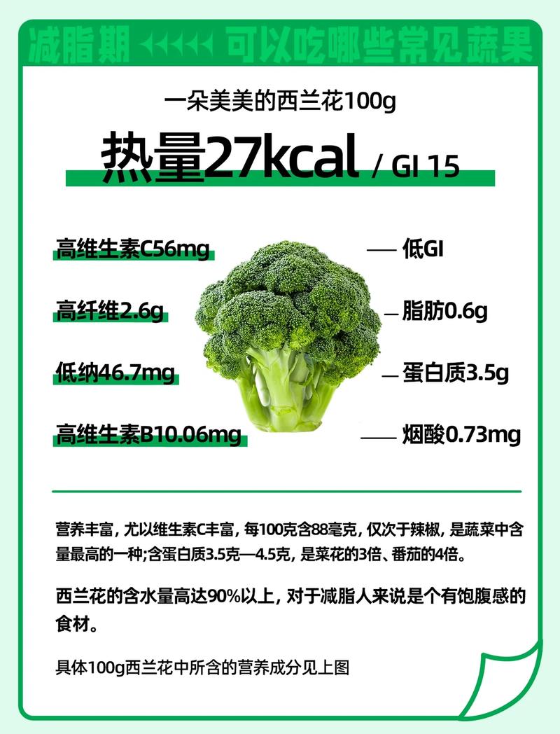 白花菜和西兰花哪个营养好?从种植养护看营养差异 浇水:保持土壤湿润,但避免积水