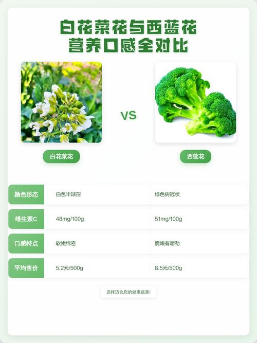 白花菜和西兰花哪个营养好?从种植养护看营养差异 施肥:氮磷钾合理搭配,花球期是关键
