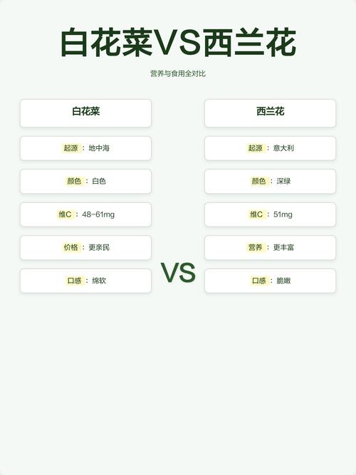 白花菜和西兰花哪个营养好?从种植养护看营养差异 光照:充足光照是营养积累的保障