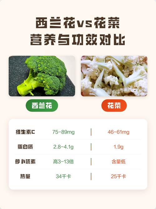 白花菜和西兰花哪个营养好?从种植养护看营养差异 换盆/田间管理:适时扩大空间,促进根系生长