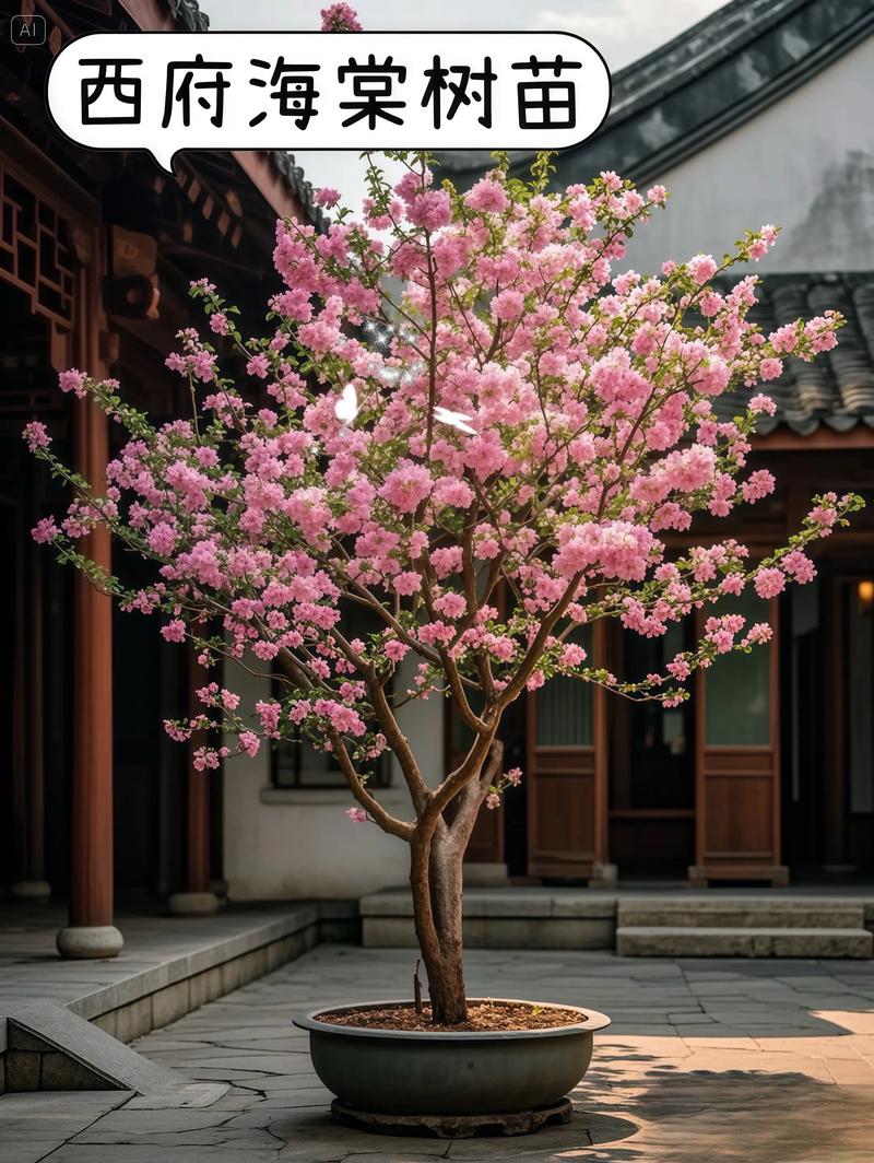 海棠树大概多少钱? 季节:买对时间,省下运费