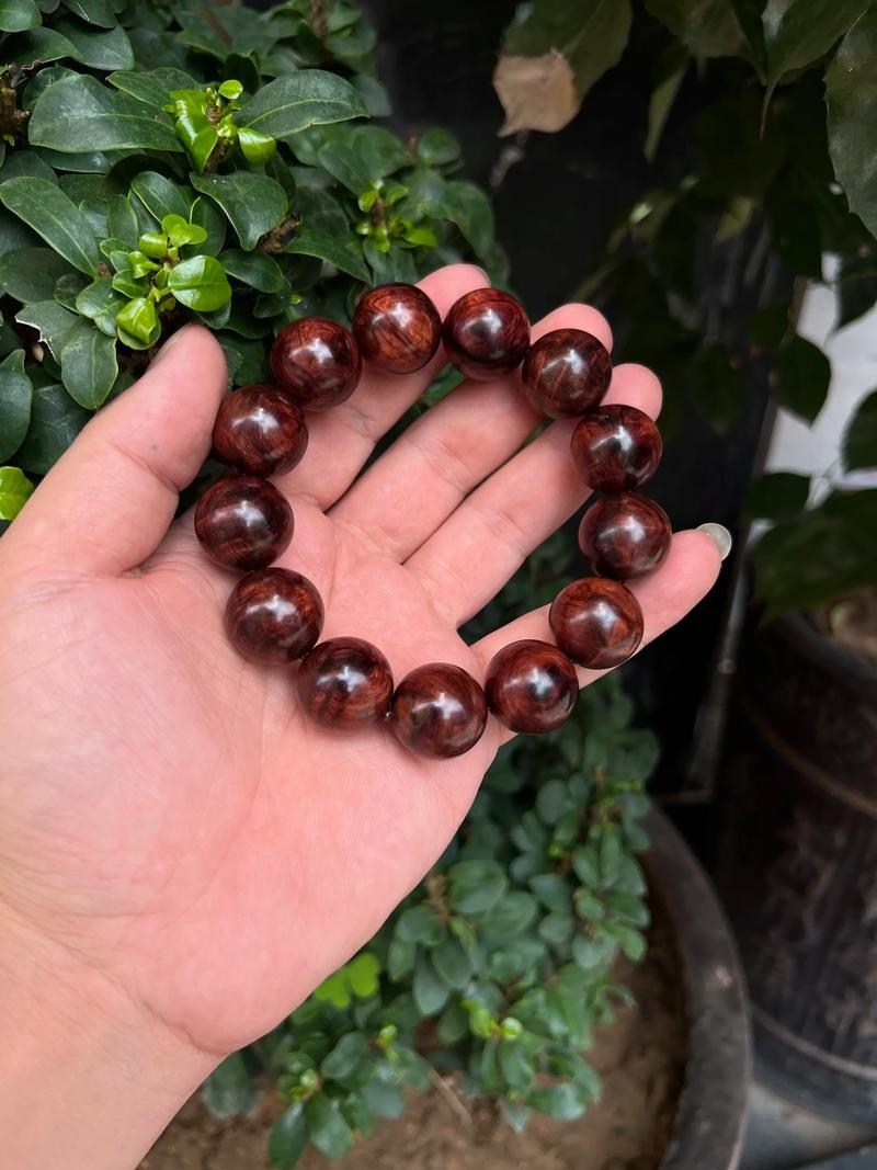海南紫油梨是黄花梨吗?一文讲清两者的区别与联系 二、海南紫油梨是什么?