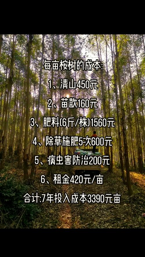 总结：一亩桉树利润多少？