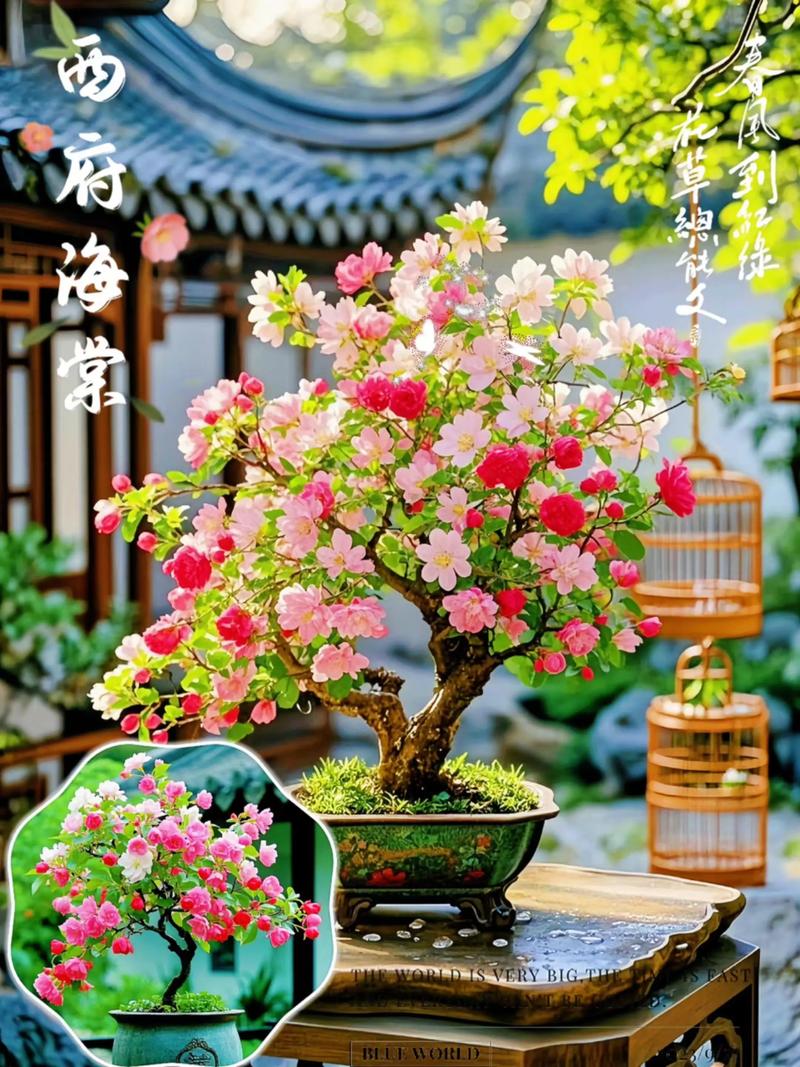 修剪促花：花后是关键