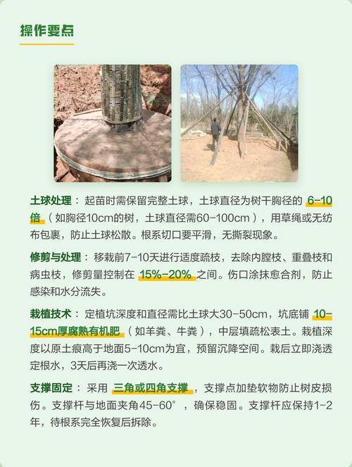 树势衰竭或位置冲突时，秋季落叶后带土球移栽