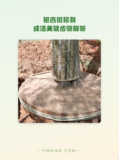 总结