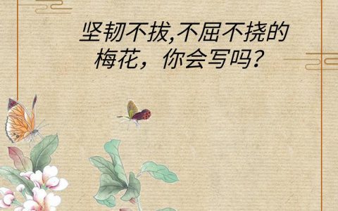 梅花象征什么精神品质？庭院盆栽养护与文化寓意深度解析
