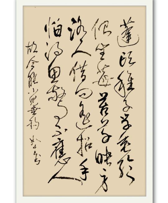 侧坐莓苔草映身全诗出处与意境赏析