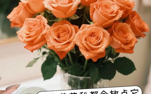 玫瑰花夏天怎么保存？3个关键步骤让花期延长5天