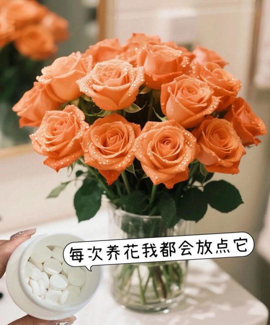 玫瑰花夏天怎么保存？3个关键步骤让花期延长5天
