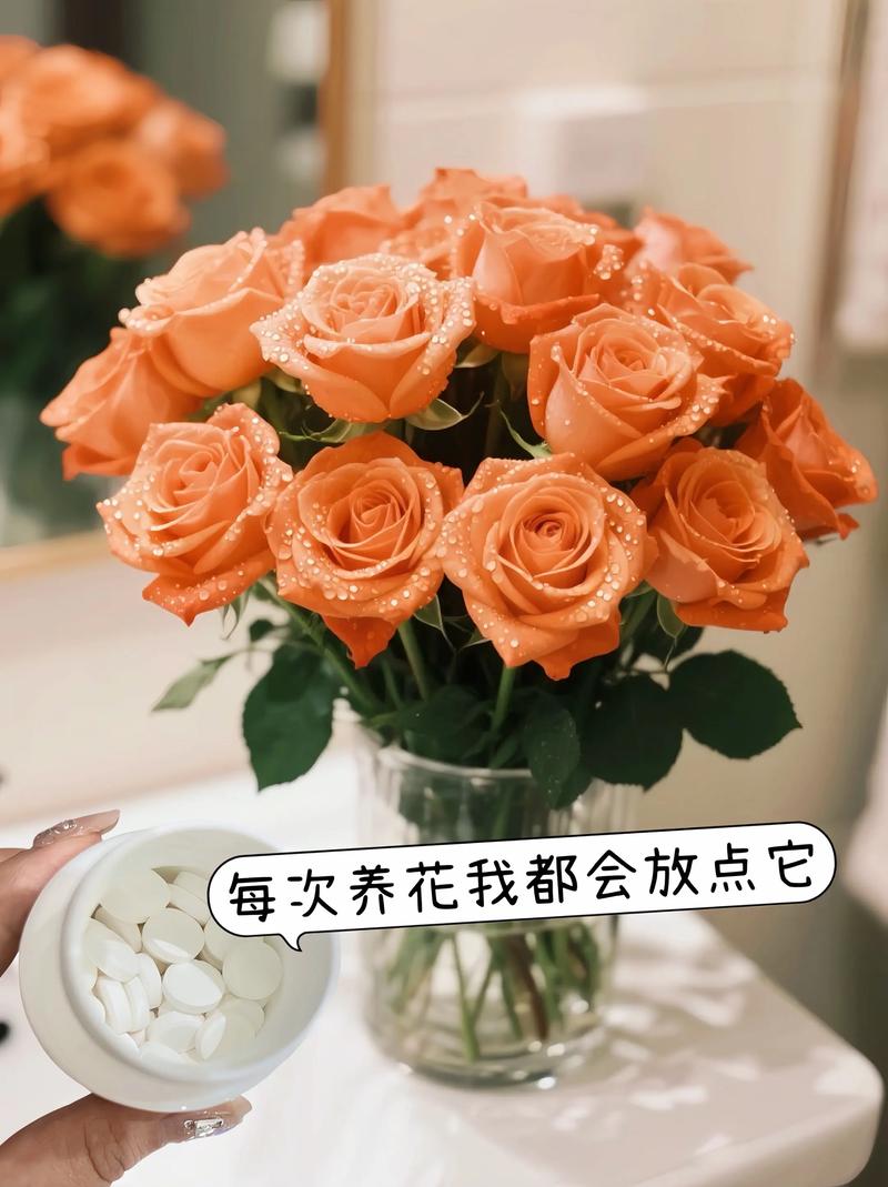玫瑰花夏天怎么保存?3个关键步骤让花期延长5天 (适合直接执行)