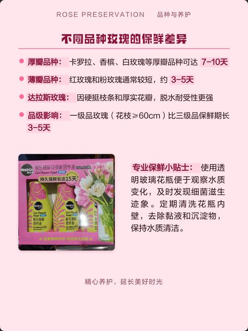玫瑰花夏天怎么保存?3个关键步骤让花期延长5天 光照与水肥精准方案(夏季保鲜角度)